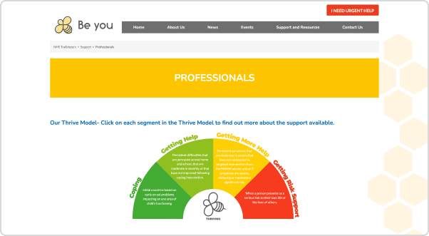 NHS Trailblazers Desktop 3