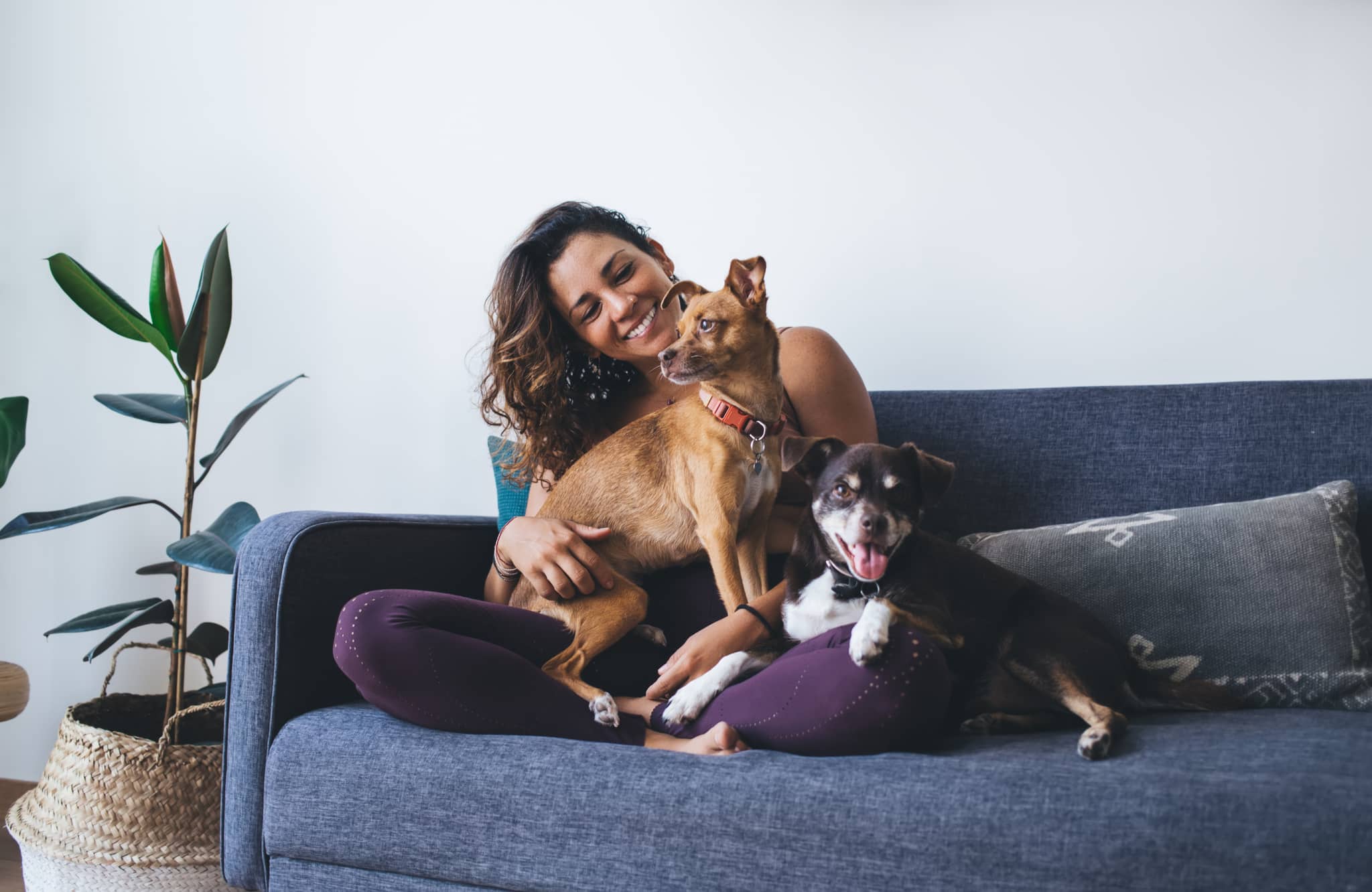 woman with a dog on a couch