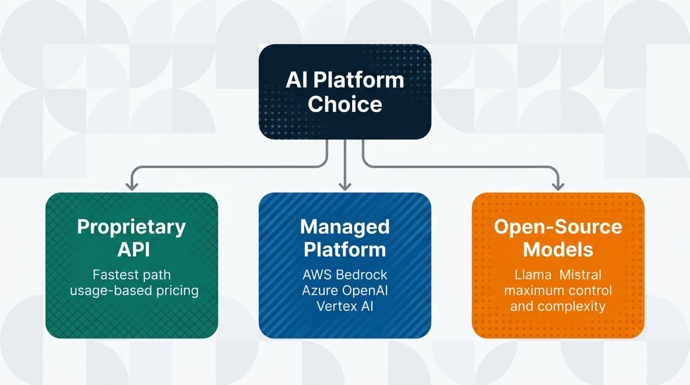 ai development platform choice infographic