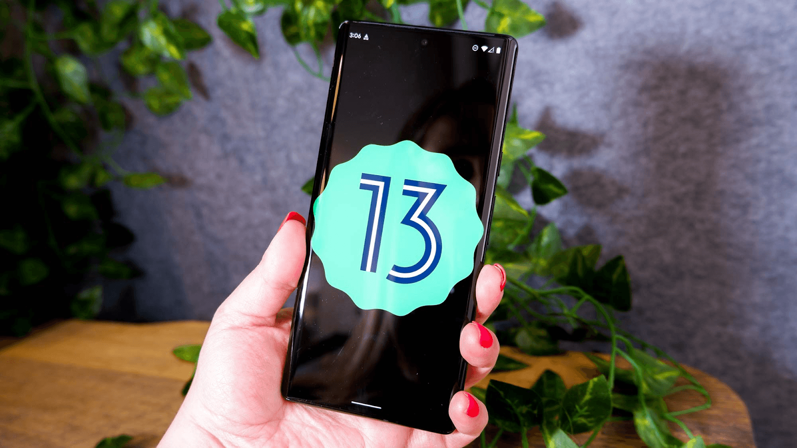 Android 13 graphic