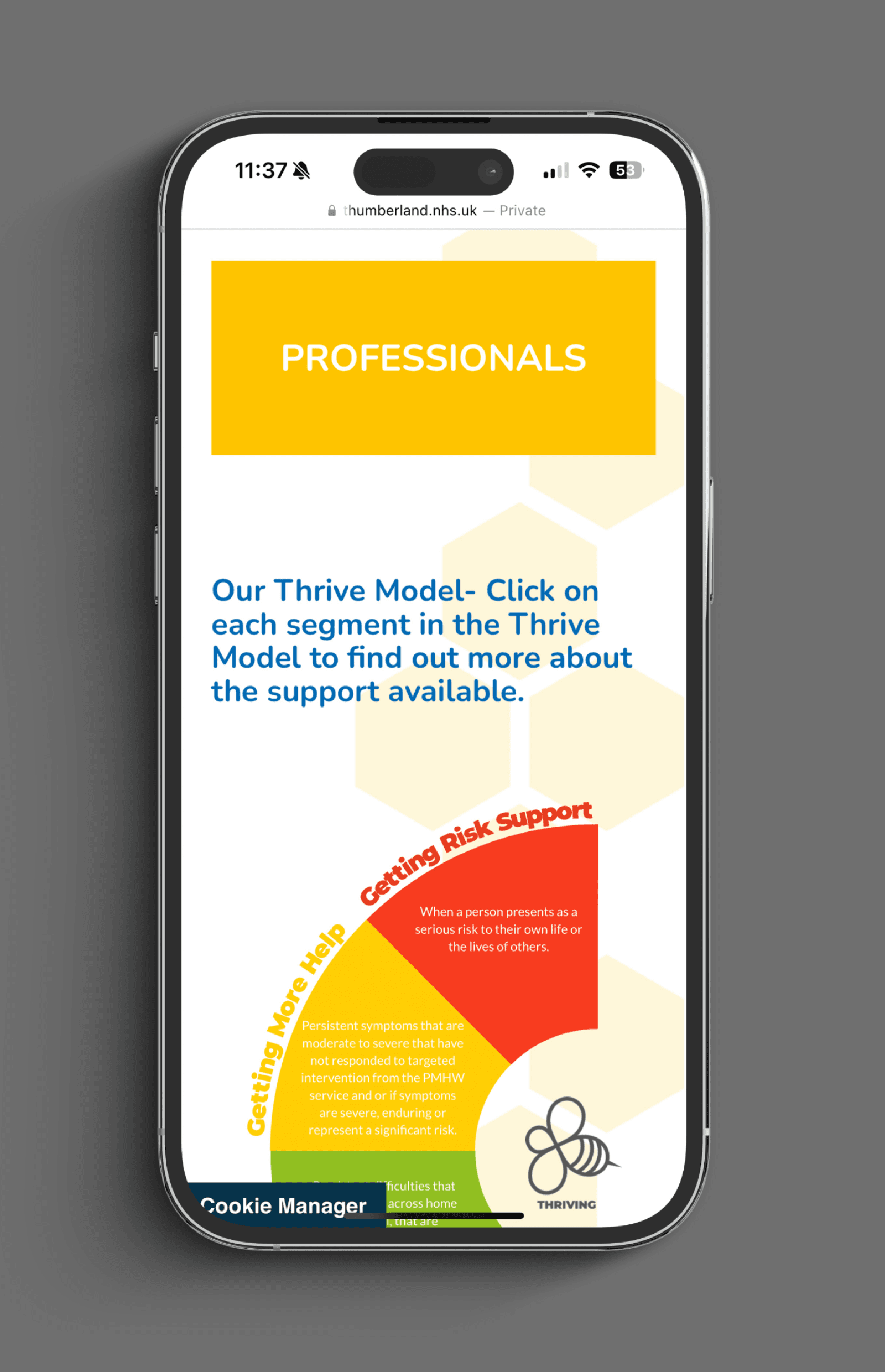 NHS Trailblazers grid 2