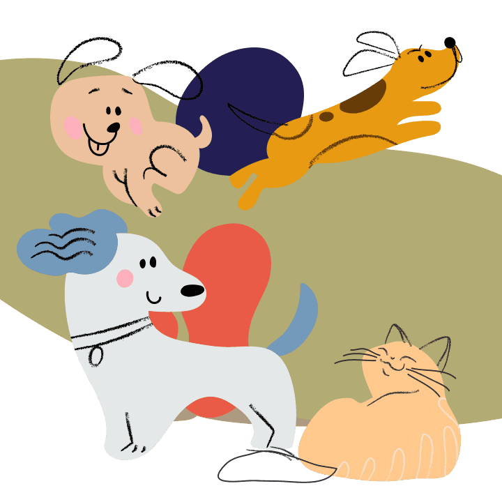 Paws and Protect Illustrations