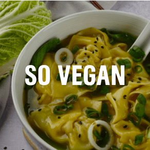 So Vegan App Logo with Soup Noodles